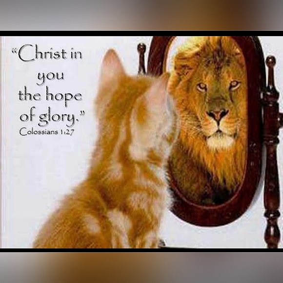 Meet your Posher, Jaime - Picture 11 of 17